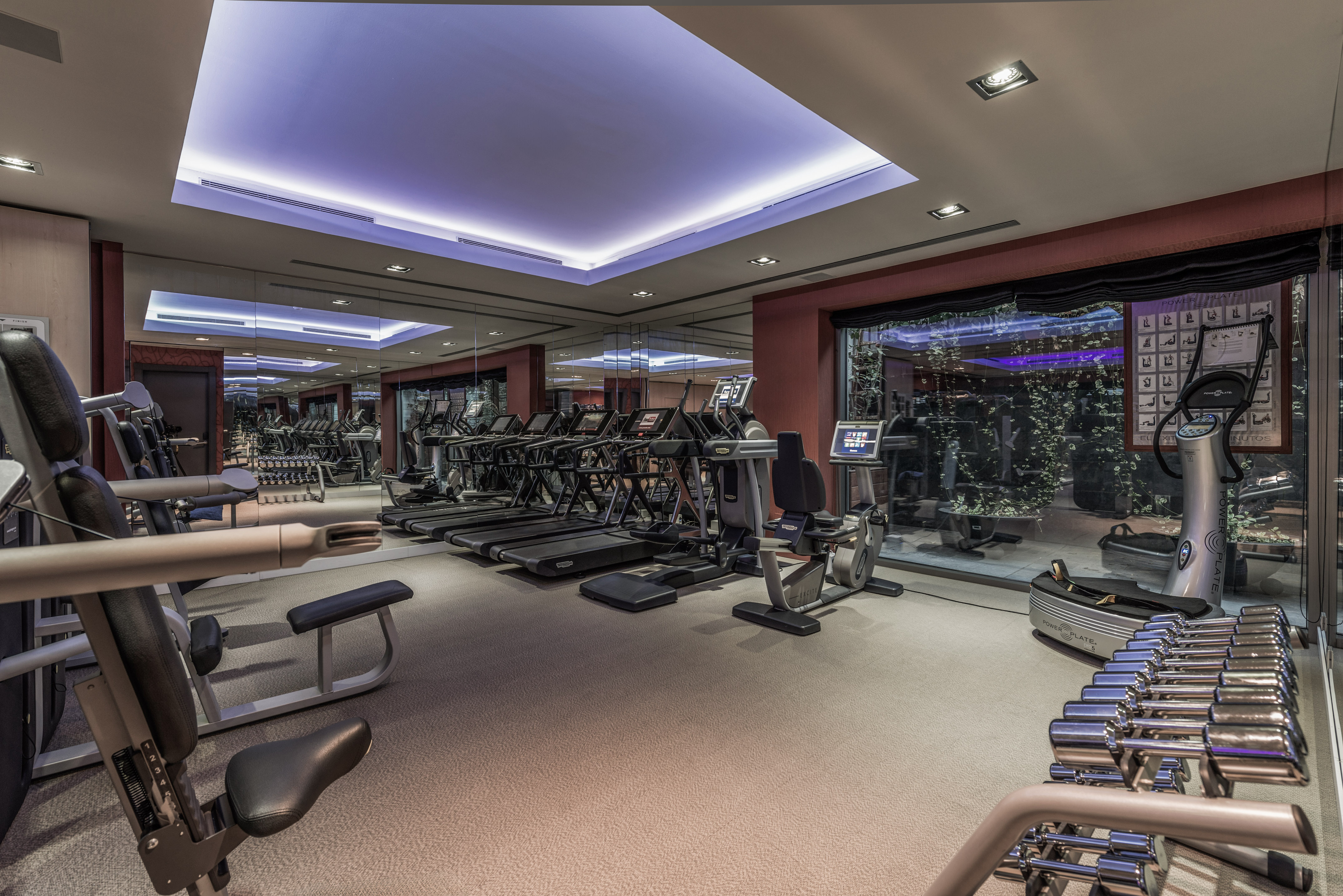 Modern fitness center with treadmills, weights, and exercise machines.