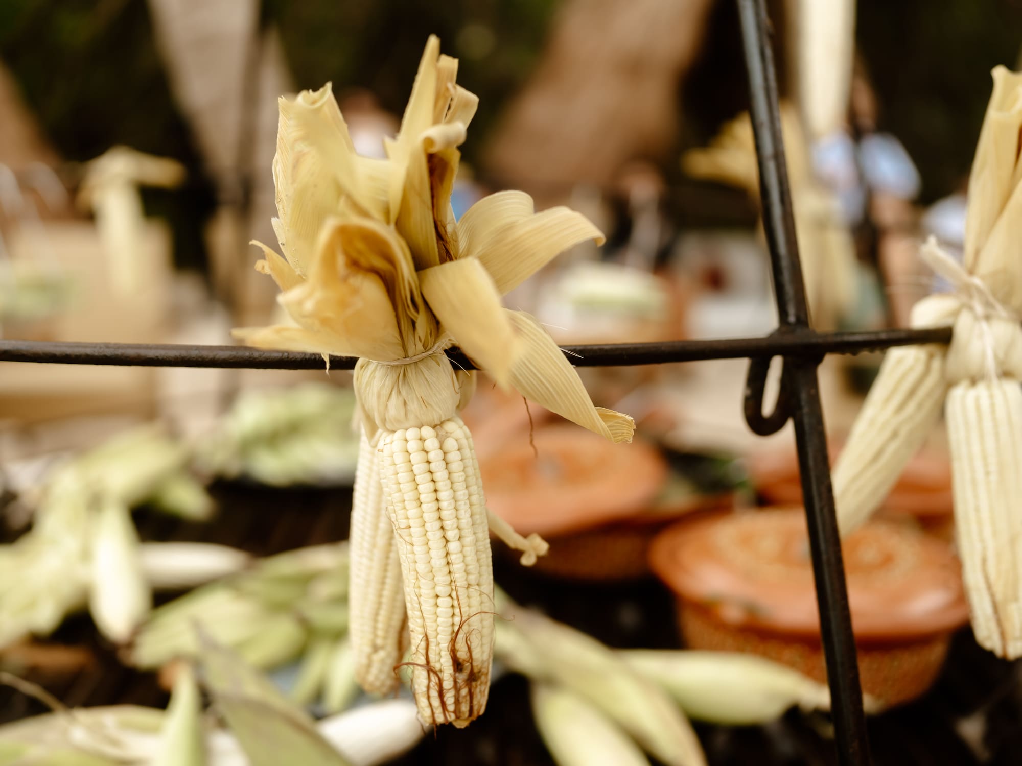 a bunch of corn from a metal bar