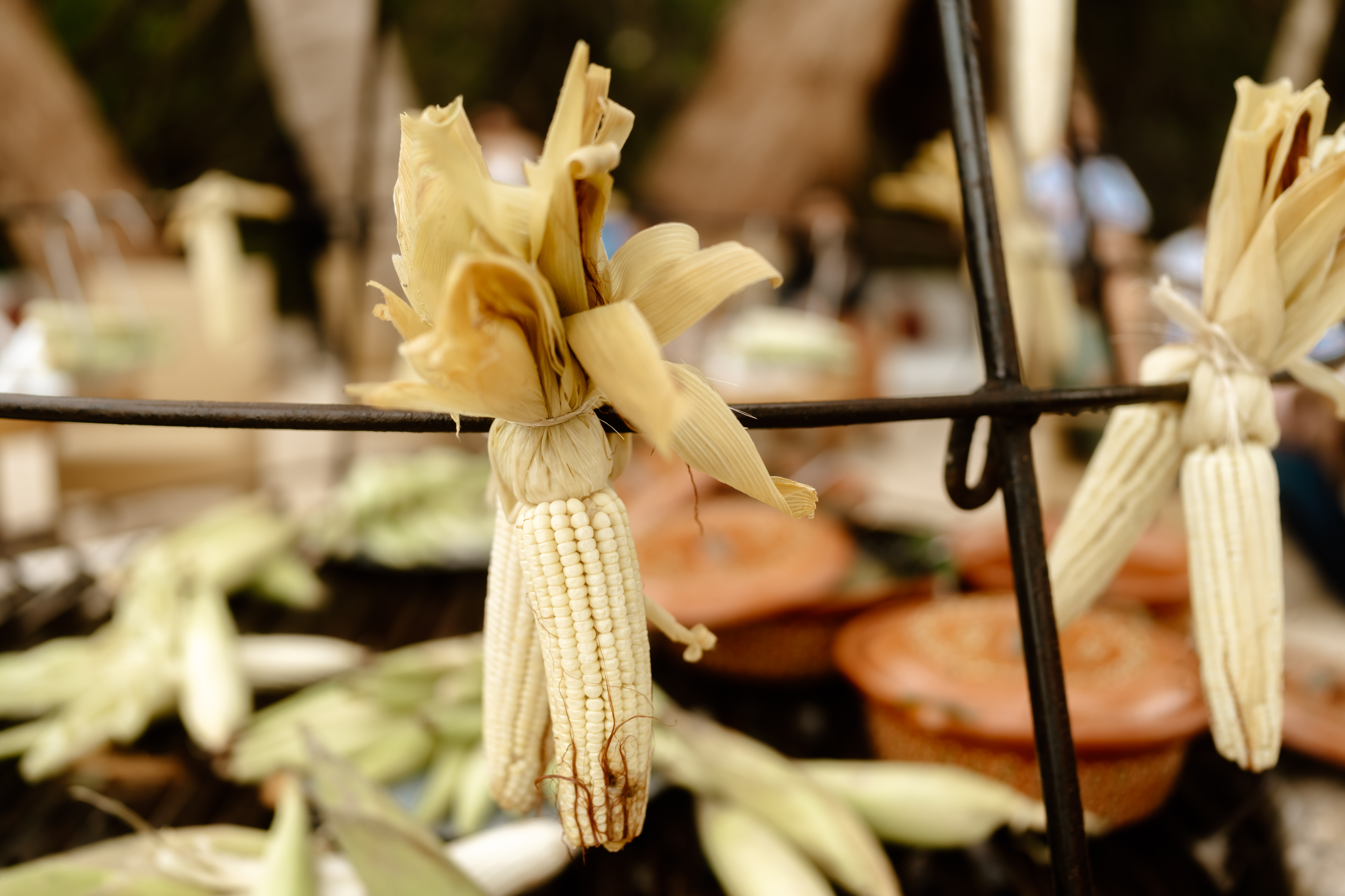 a bunch of corn from a metal bar