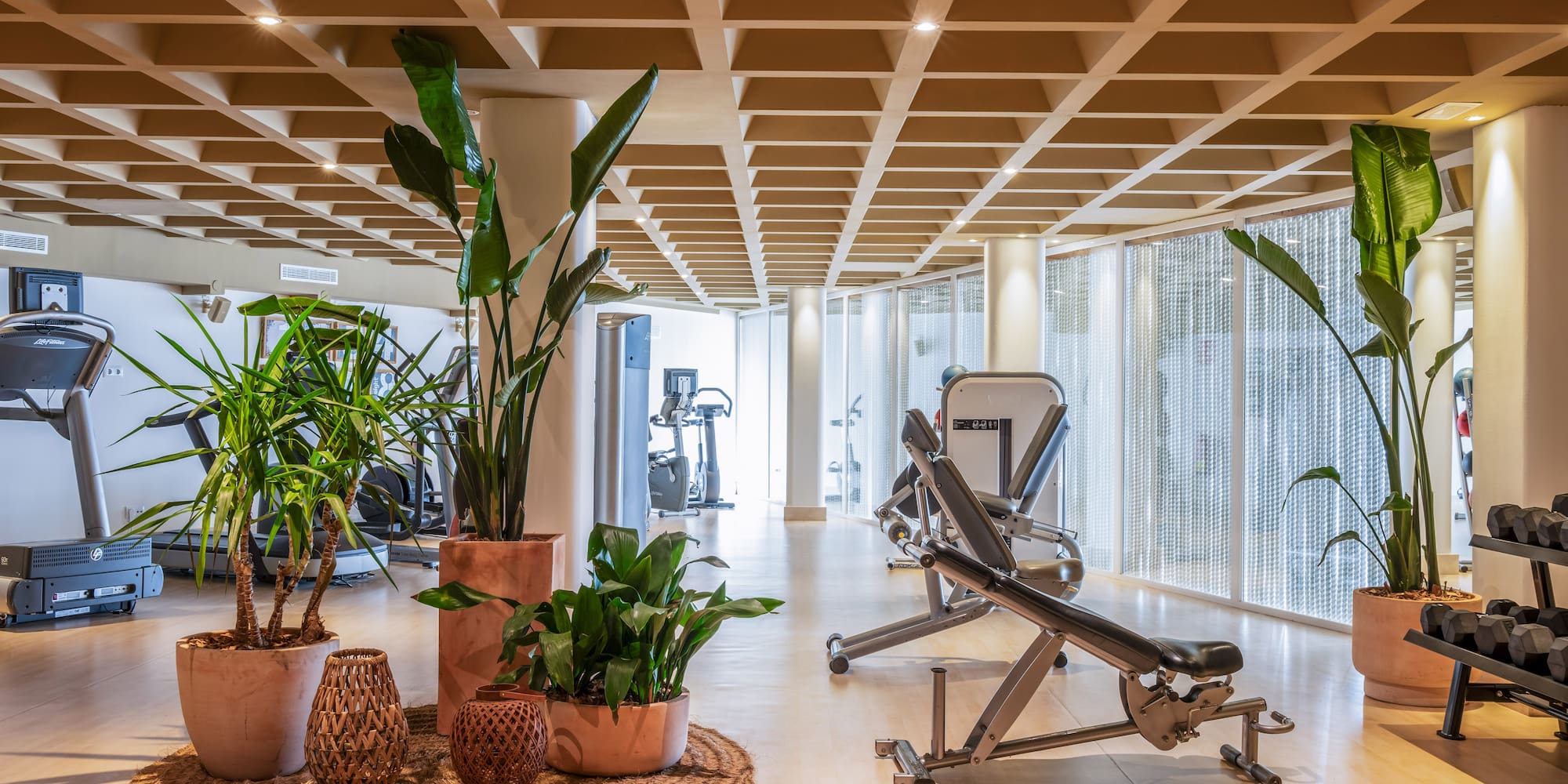 a gym with exercise equipment and plants