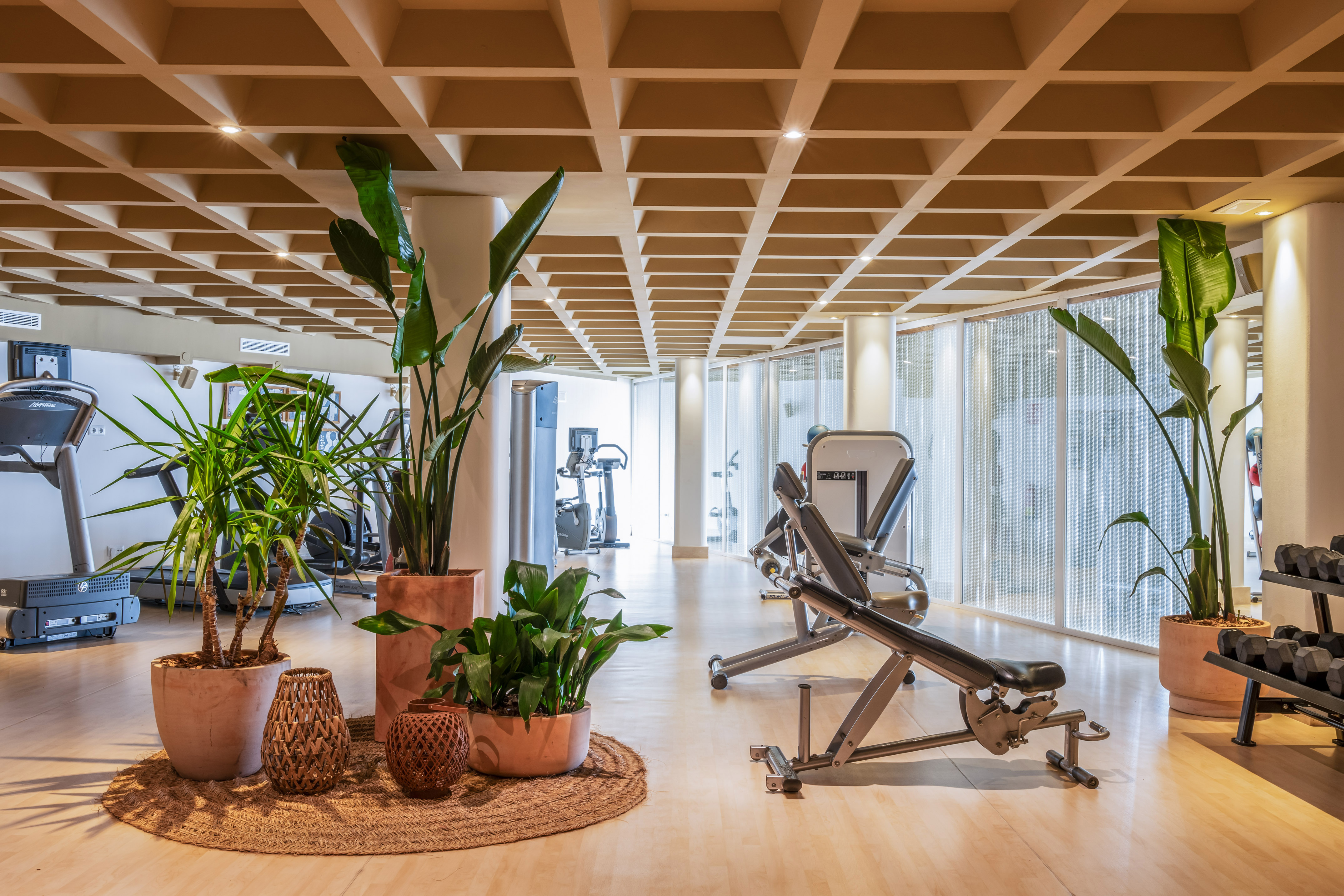 Modern fitness center with exercise equipment, potted plants, and wooden floor.
