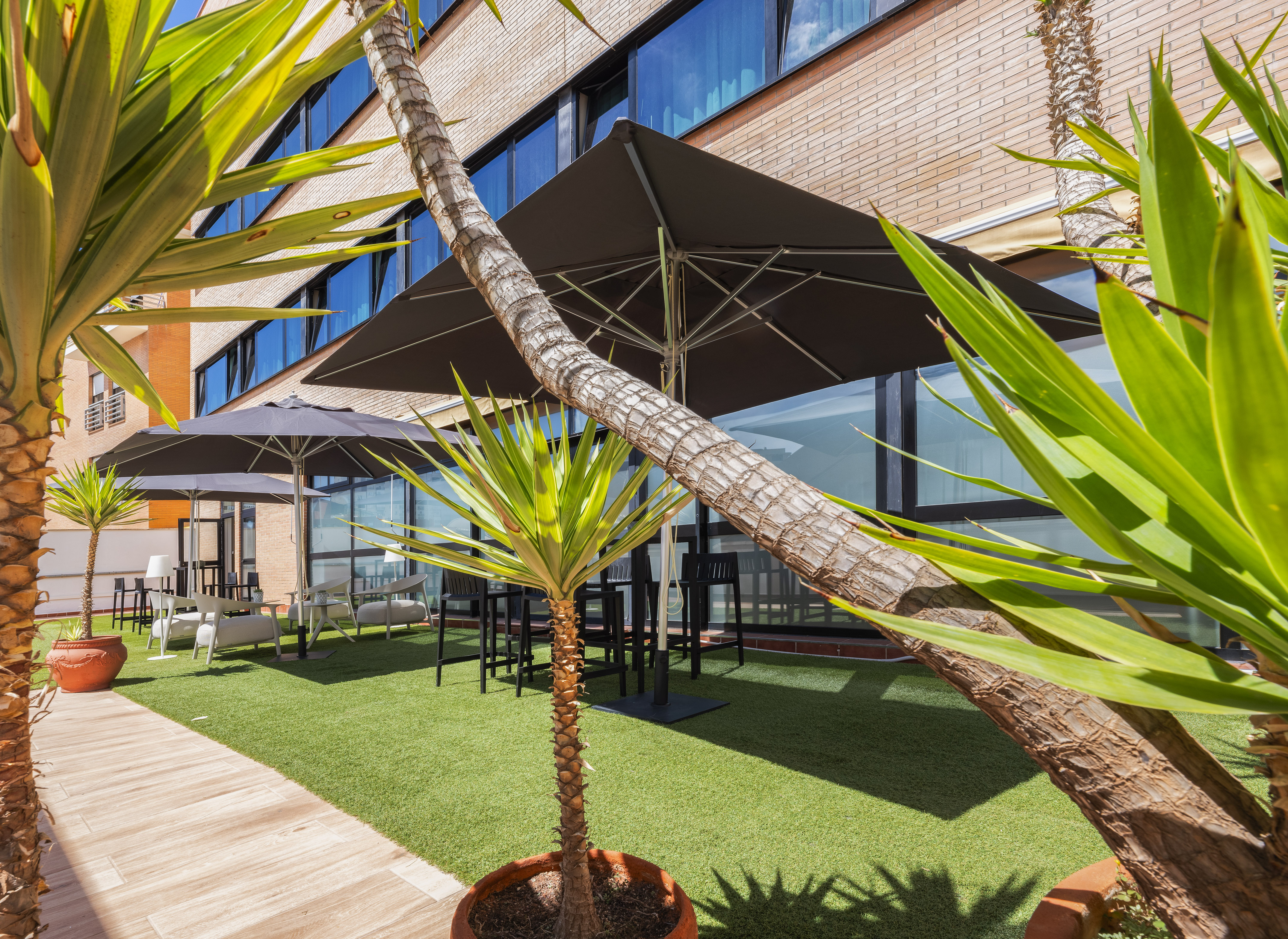 Sunny hotel patio with green turf, umbrellas, modern seating, and yucca plants.