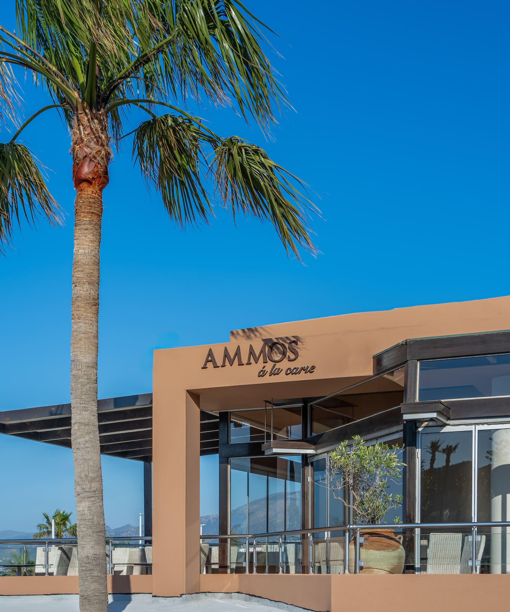 Ammos á la carte restaurant with palm tree, balcony, and clear blue sky.