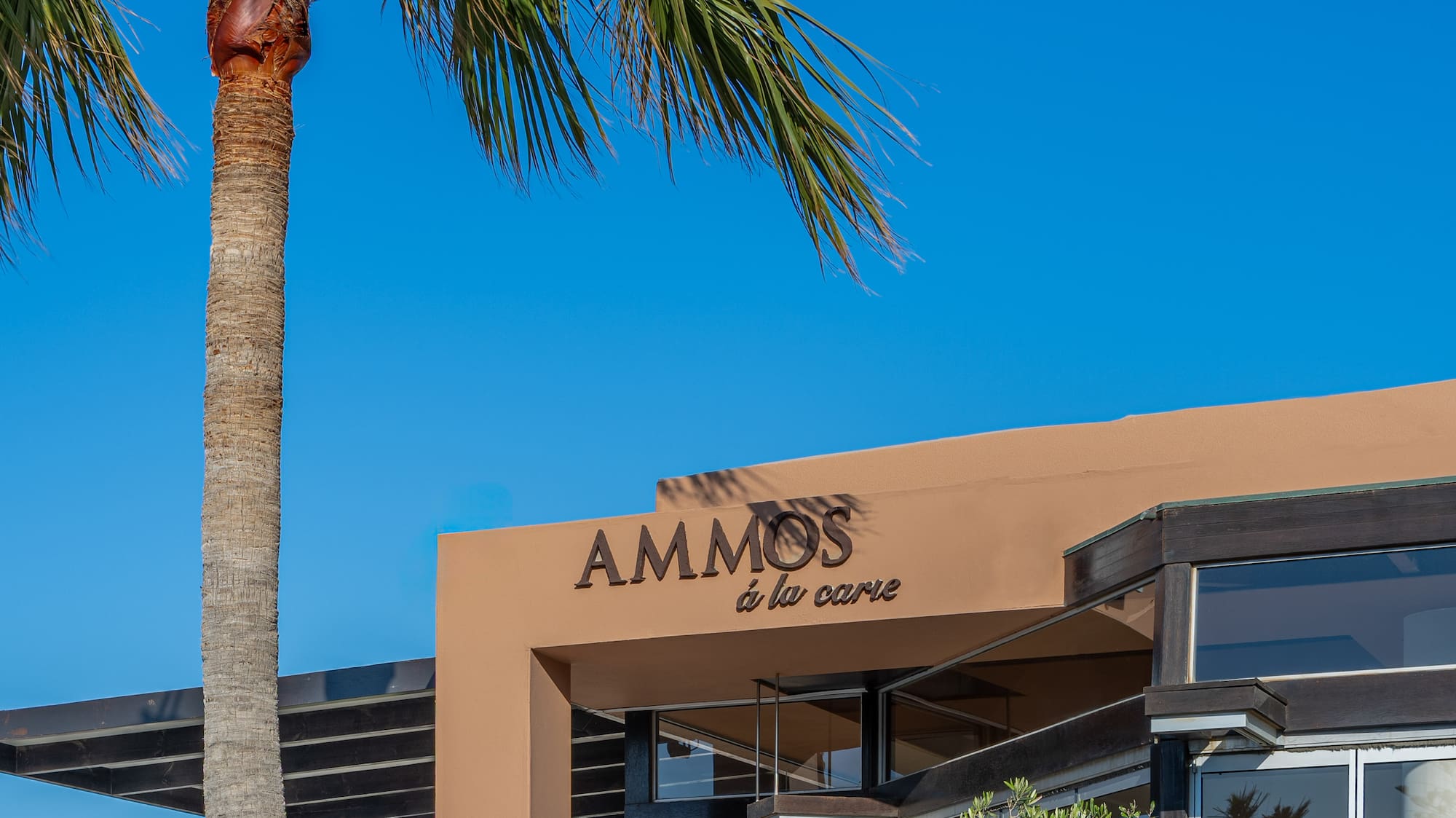 Sunny Ammos à la carte restaurant exterior with palm tree and outdoor terrace.