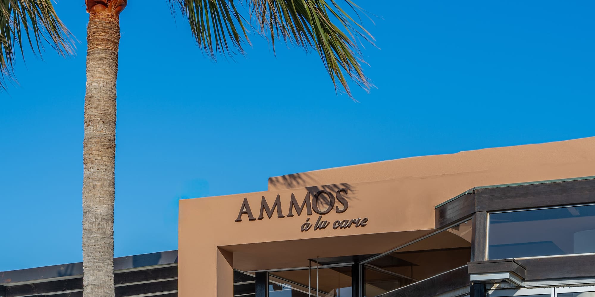 Sunny Ammos à la carte restaurant exterior with palm tree and outdoor terrace.
