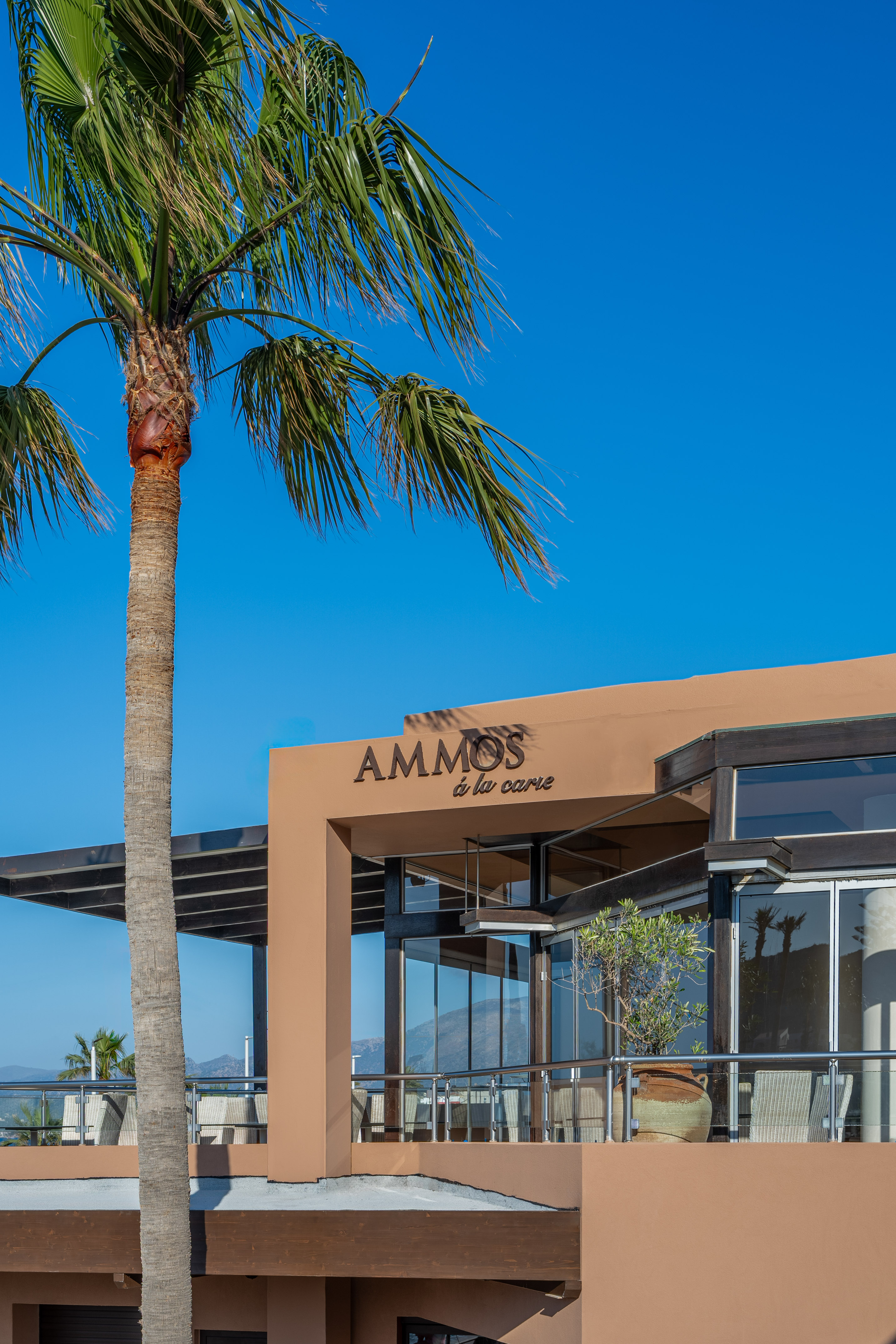 Sunny Ammos à la carte restaurant exterior with palm tree and outdoor terrace.