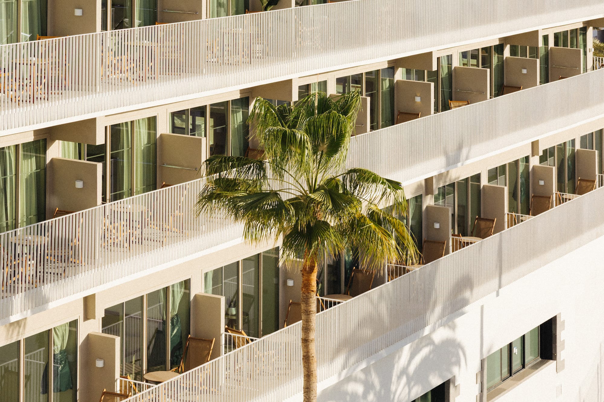 Modern hotel building with white balconies and a tall palm tree.