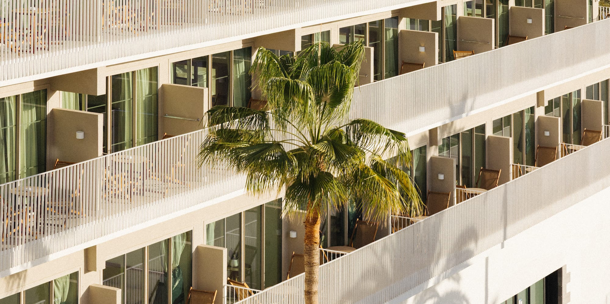 Modern hotel building with white balconies and a tall palm tree.