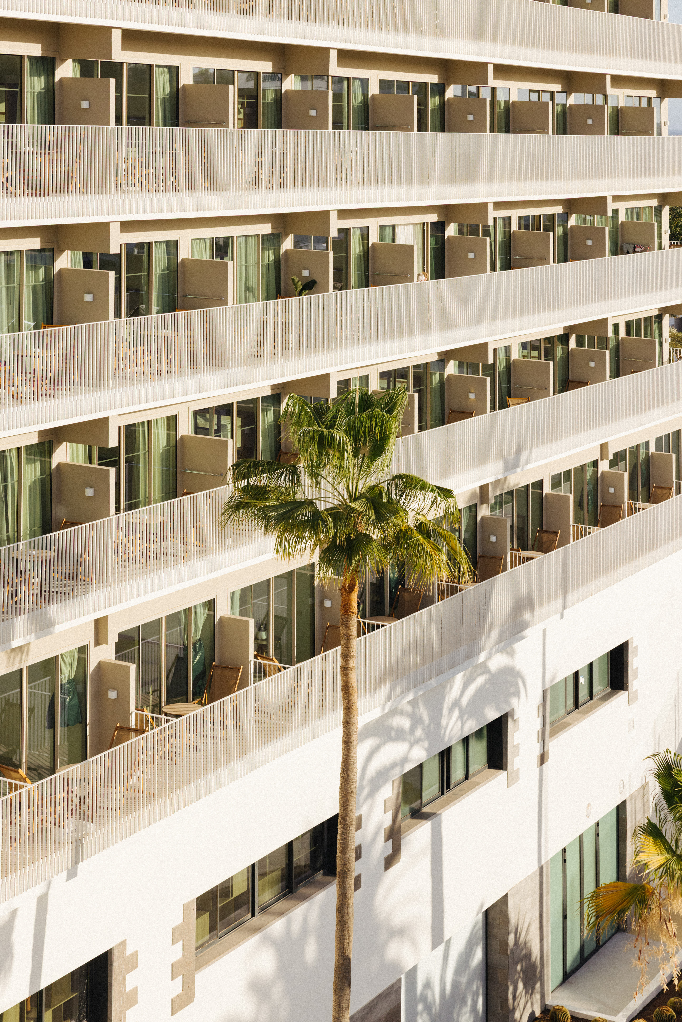 Modern hotel building with white balconies and a tall palm tree.