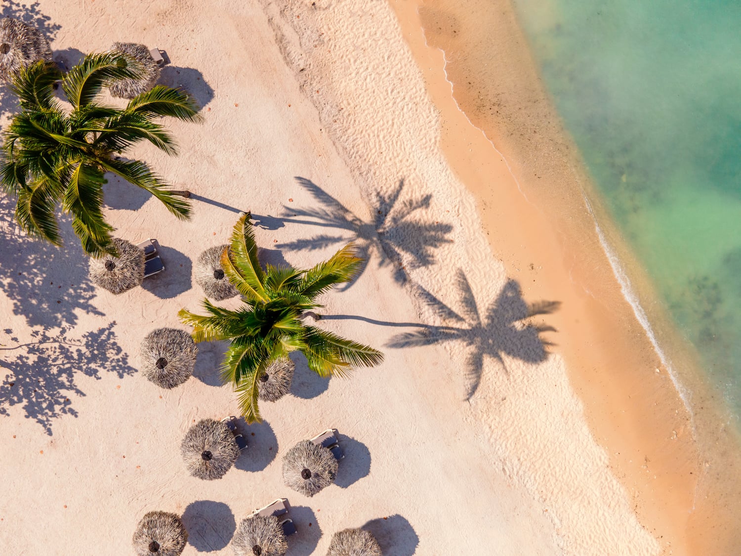 a beach with palm trees and umbrellas