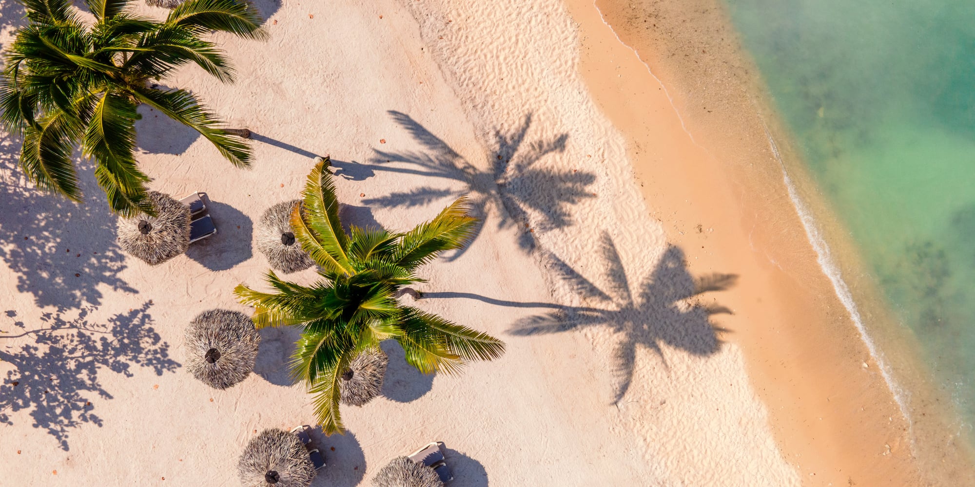 a beach with palm trees and umbrellas