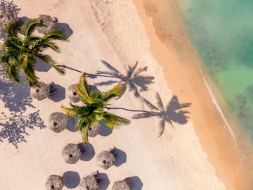 a beach with palm trees and umbrellas