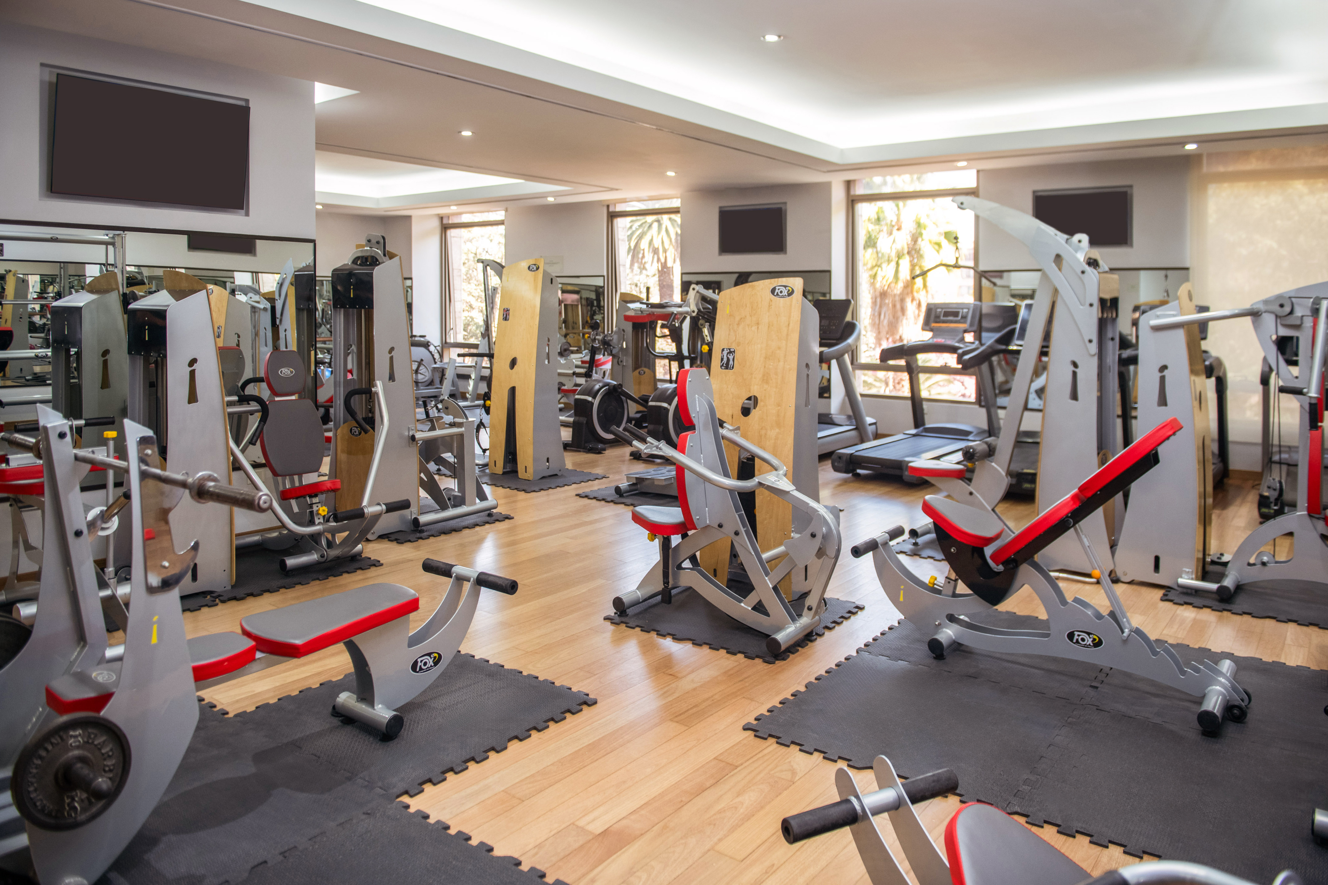 Modern gym with diverse exercise machines, wood floors, and large windows.