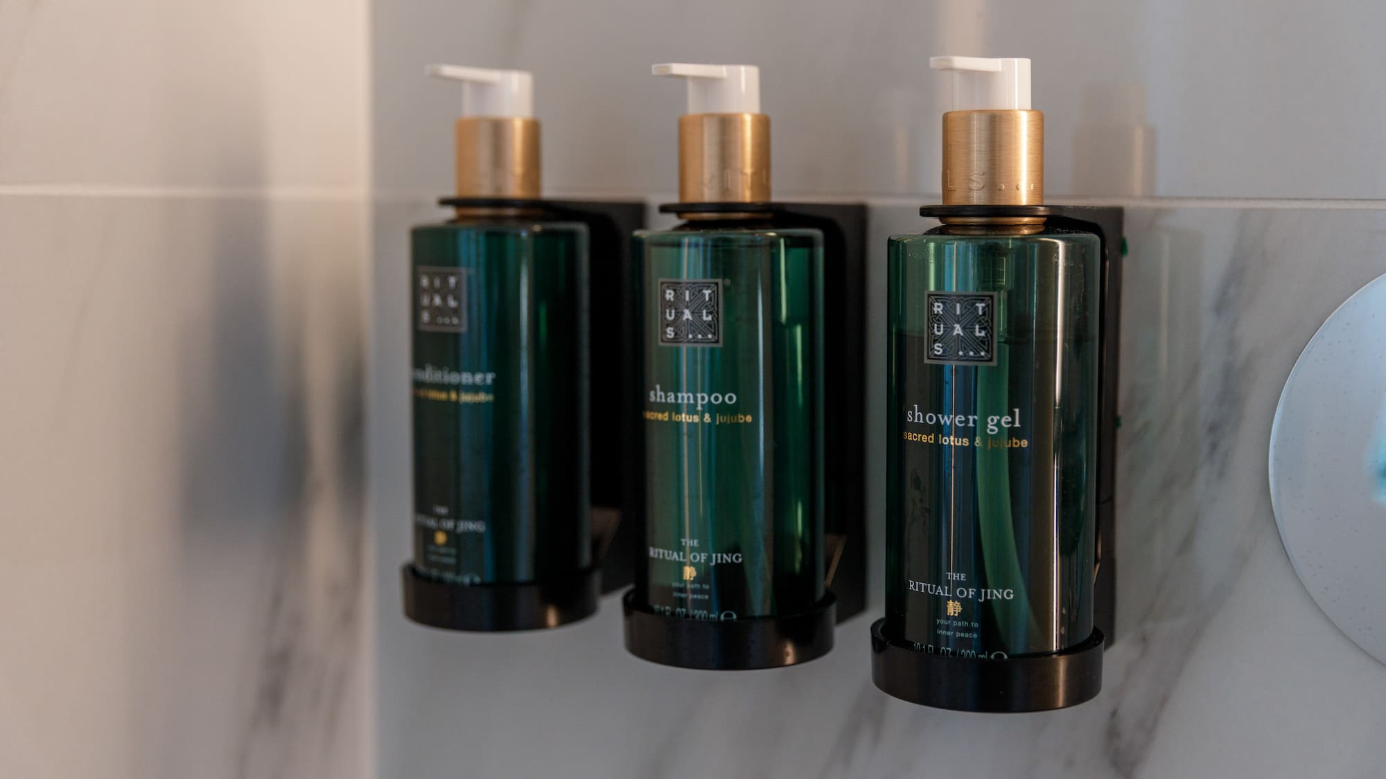 a group of bottles of shampoo and shower gel