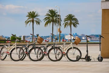 a group of bicycles parked in a row