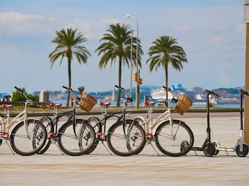 a group of bicycles parked in a row