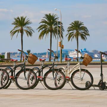 a group of bicycles parked in a row