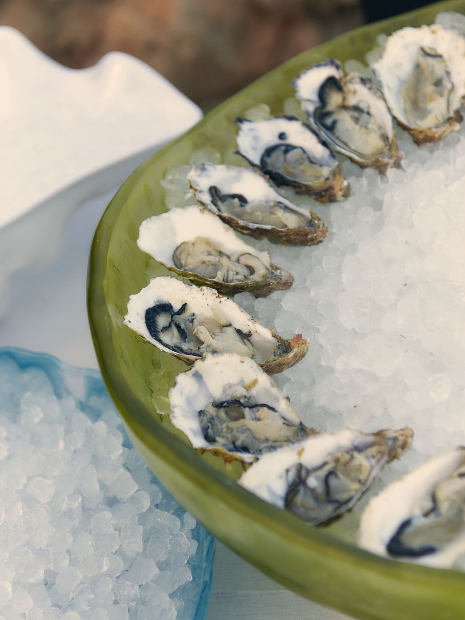 a plate of oysters on ice