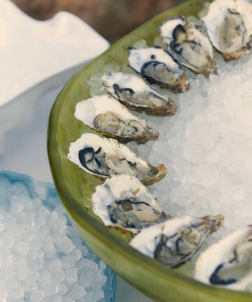 a plate of oysters on ice