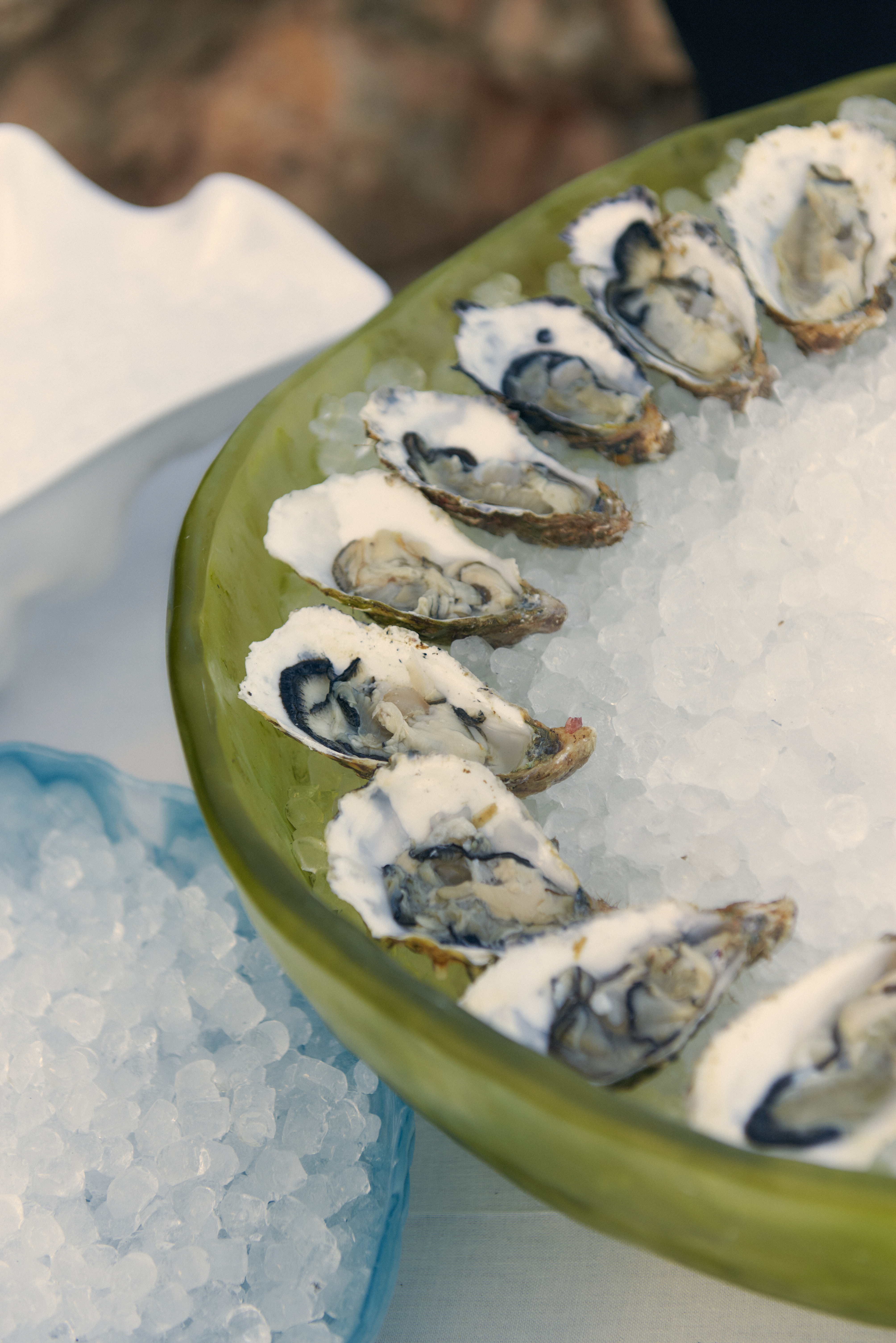 Shucked oysters on a bed of crushed ice in a green platter.