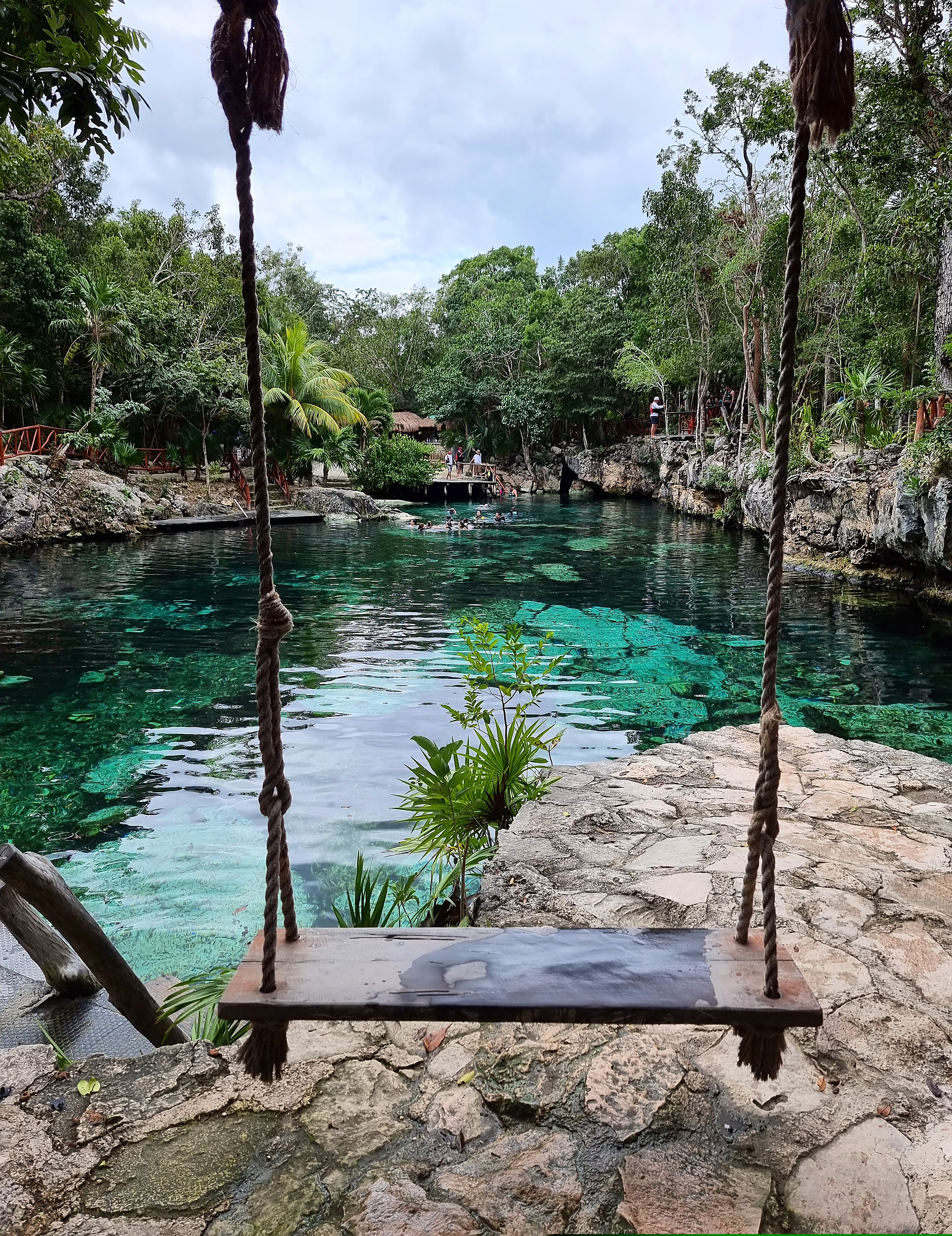 Columpio de madera frente a cenote cristalino rodeado de selva tropical.