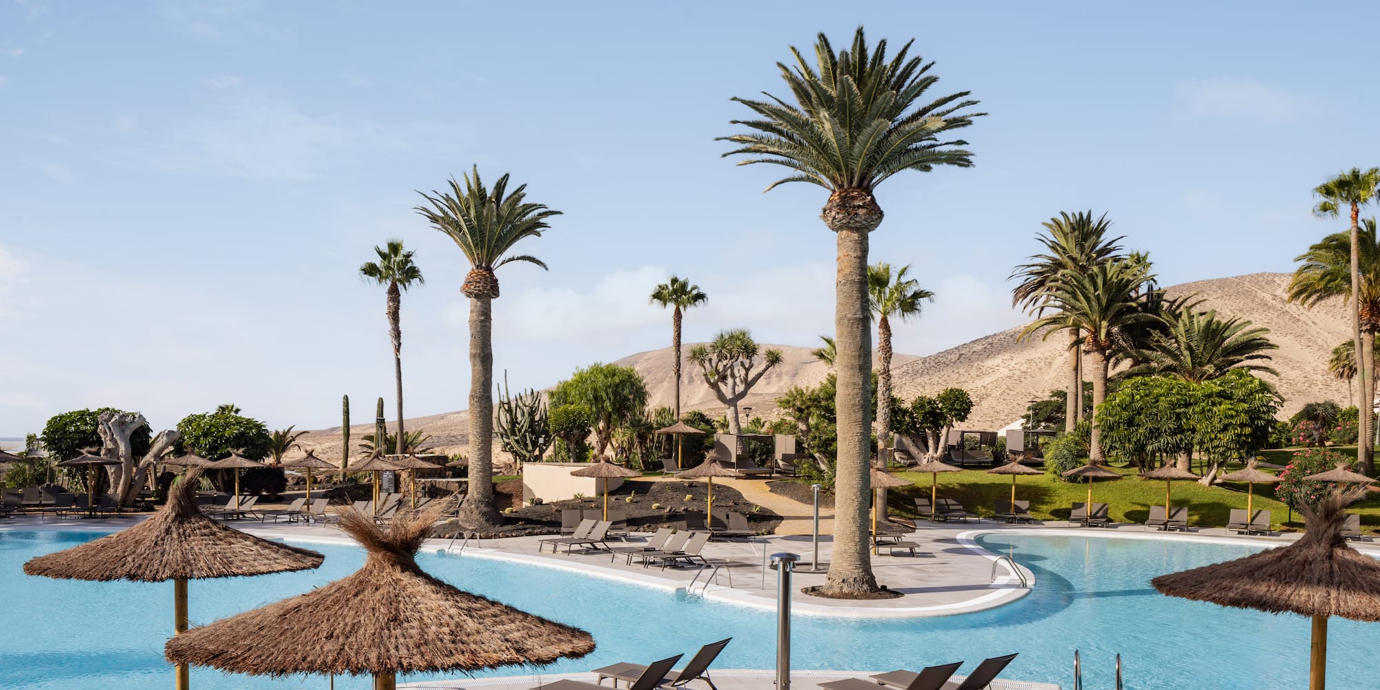 a pool with palm trees and chairs