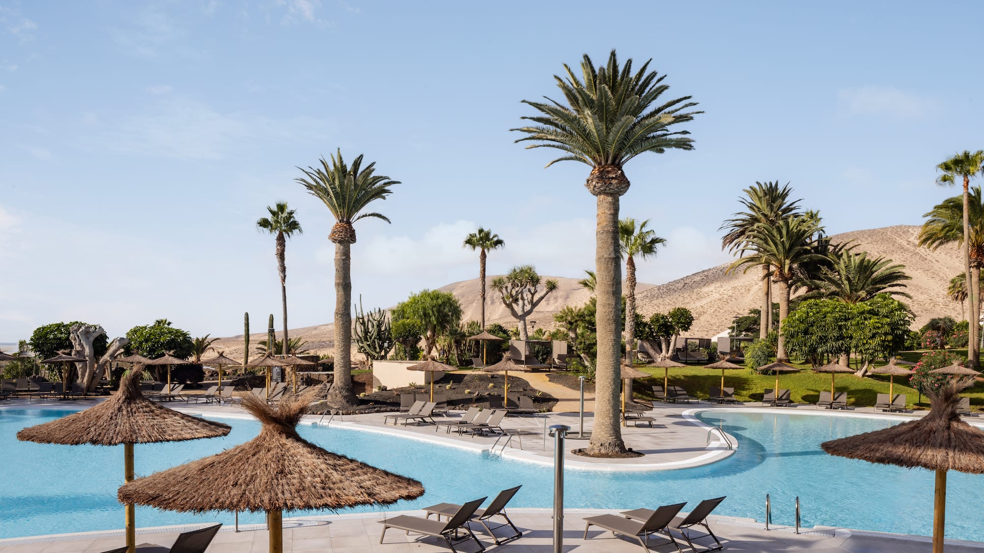 a pool with palm trees and chairs