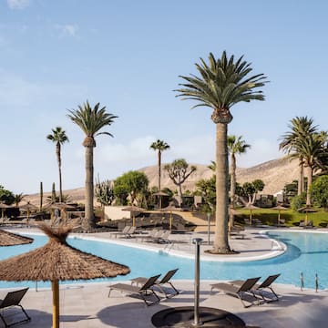 a pool with palm trees and chairs