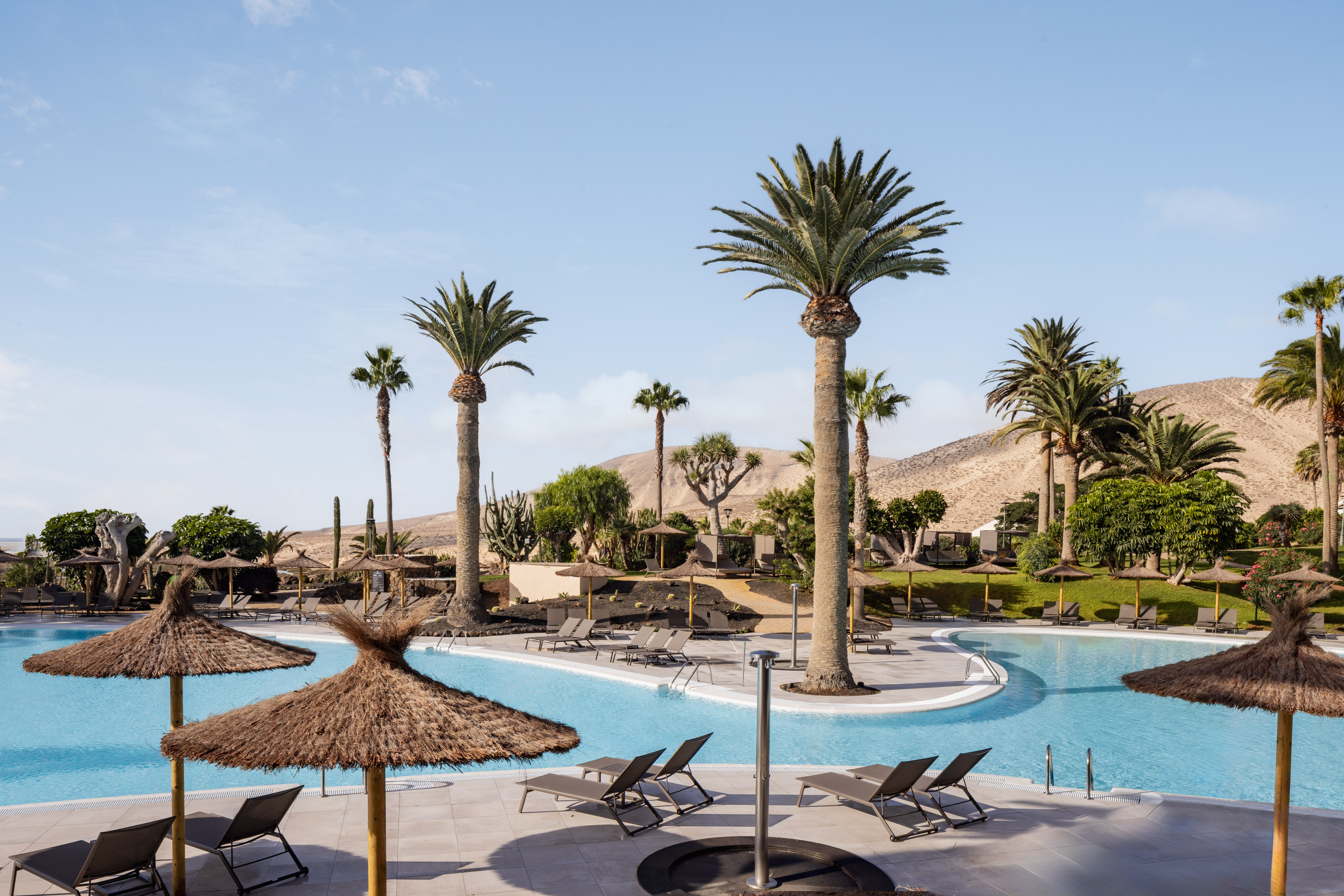 Tropical resort pool with palm trees, straw umbrellas, and desert mountains.