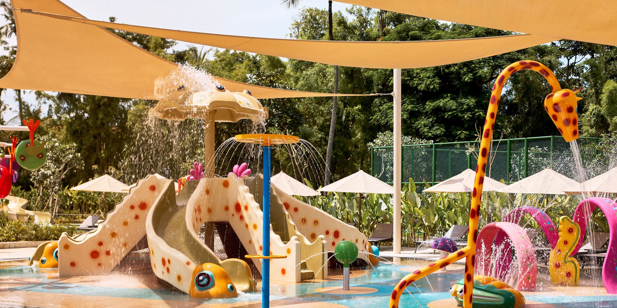 a water park with a water slide