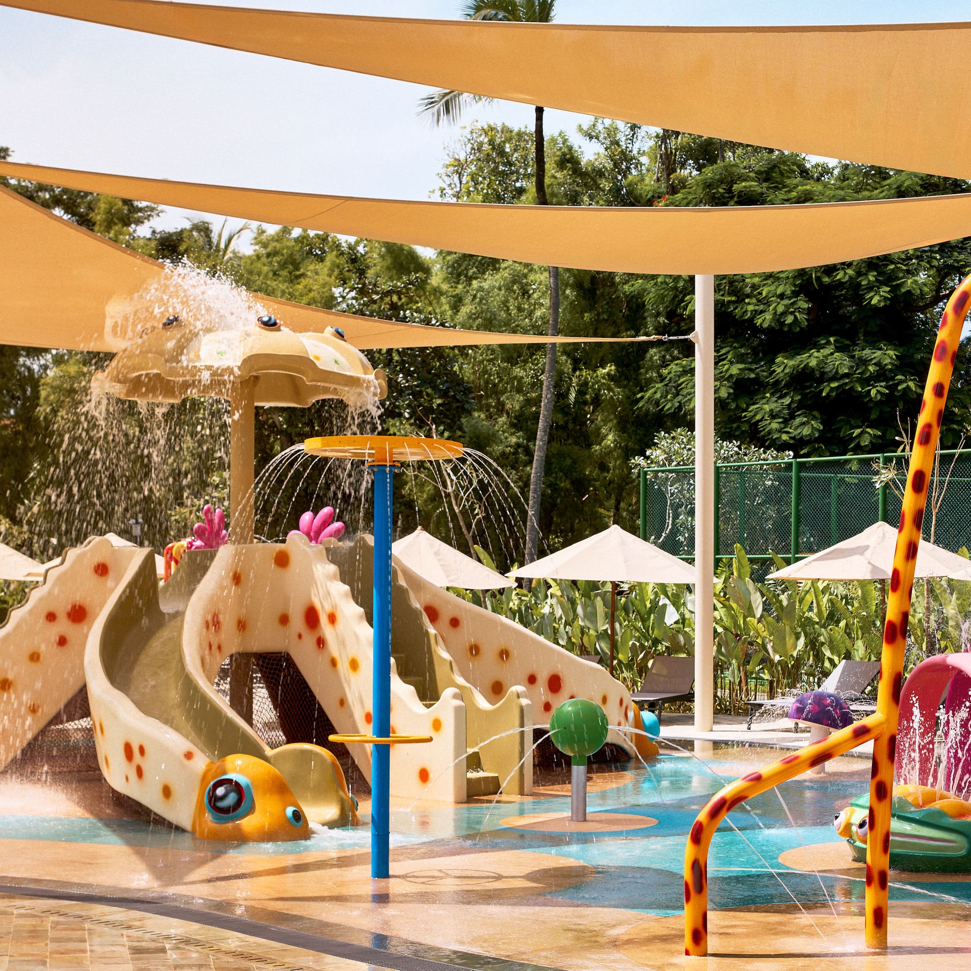 a water park with a water slide