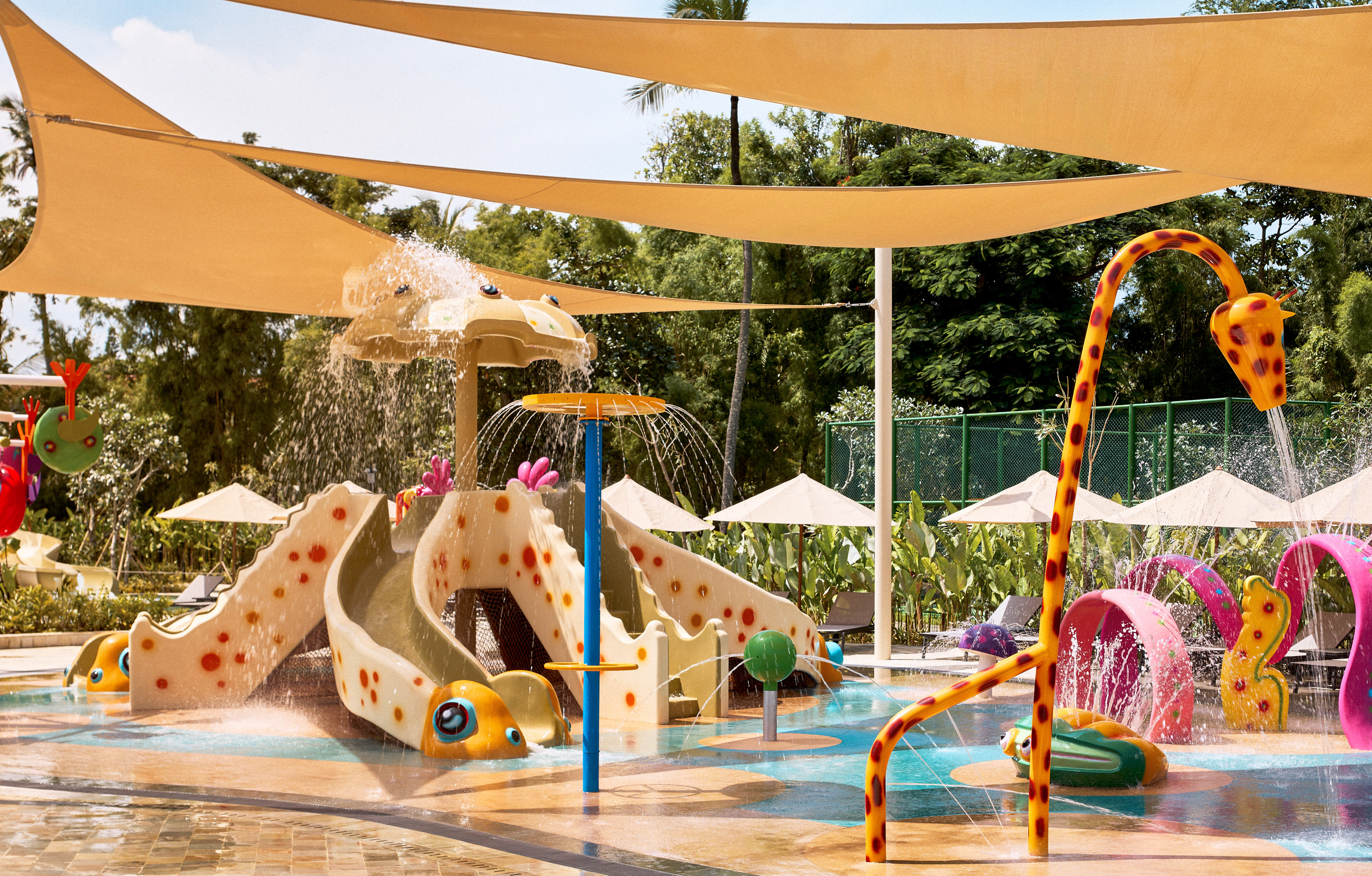 a water park with a water slide