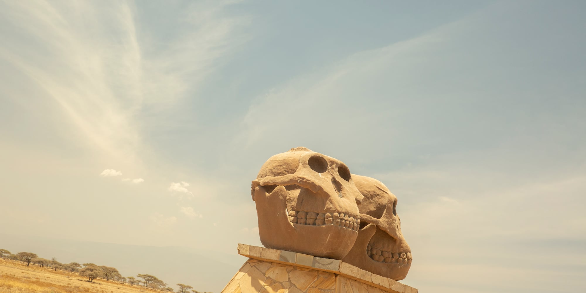a stone skull statues on a pedestal