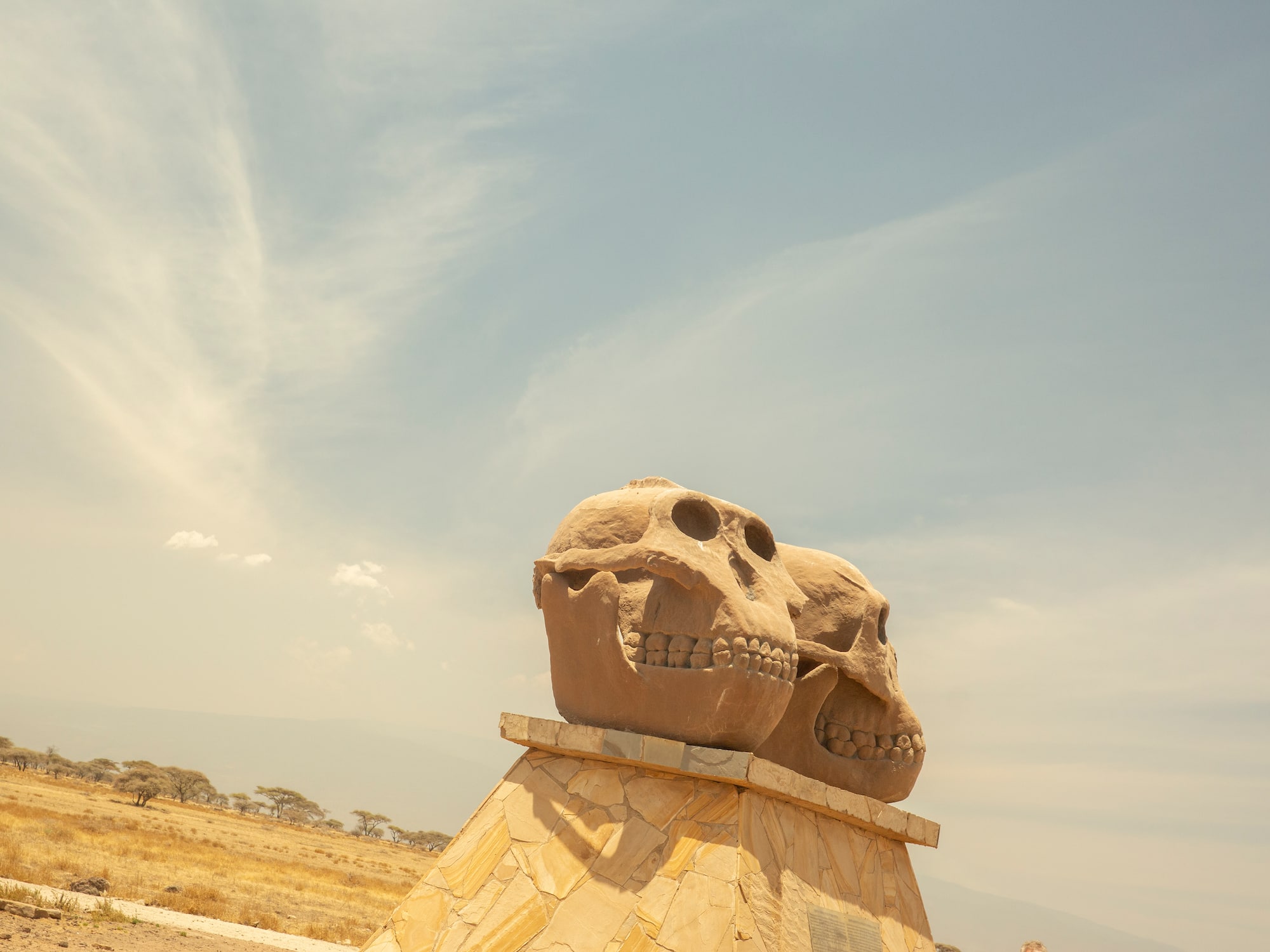 a stone skull statues on a pedestal