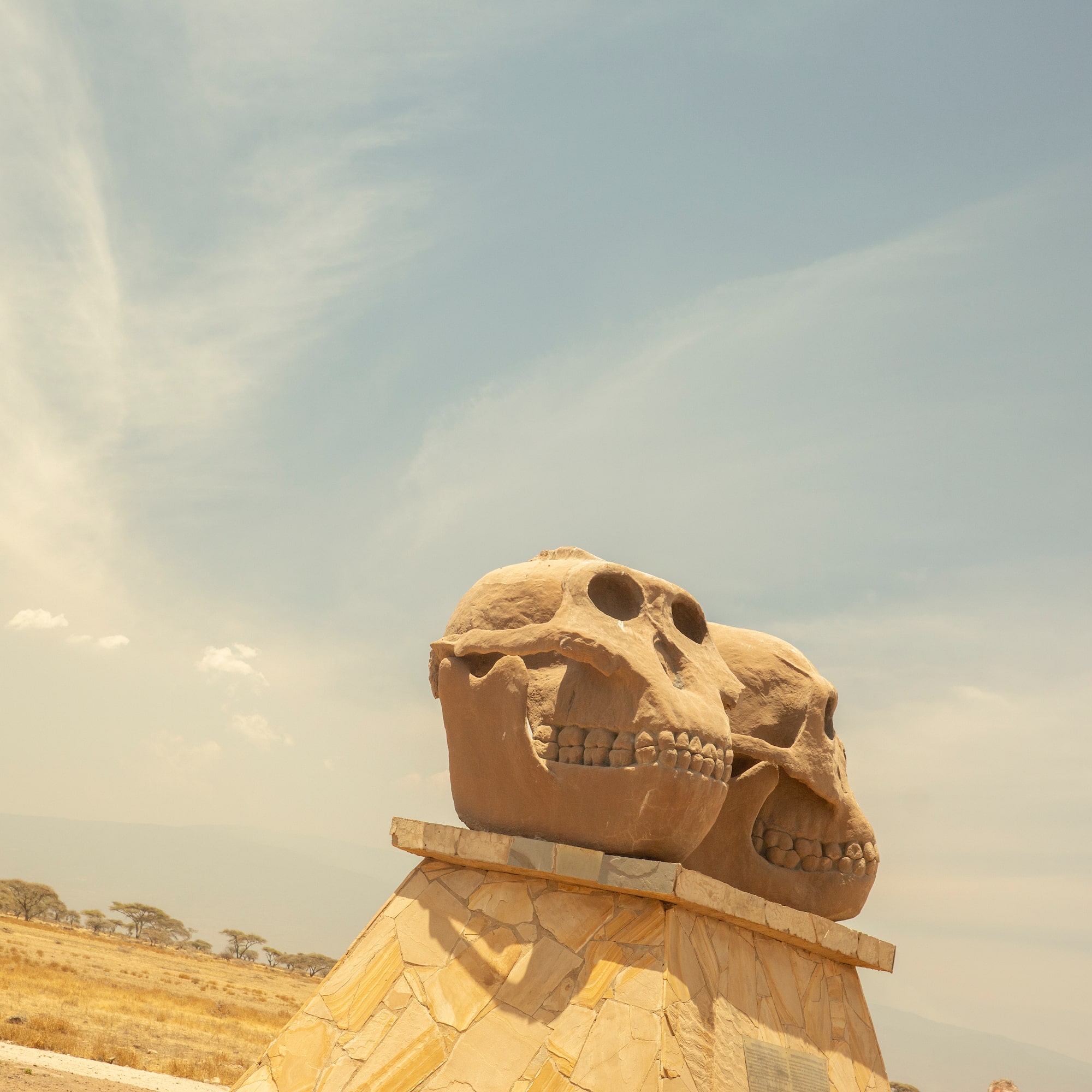 a stone skull statues on a pedestal