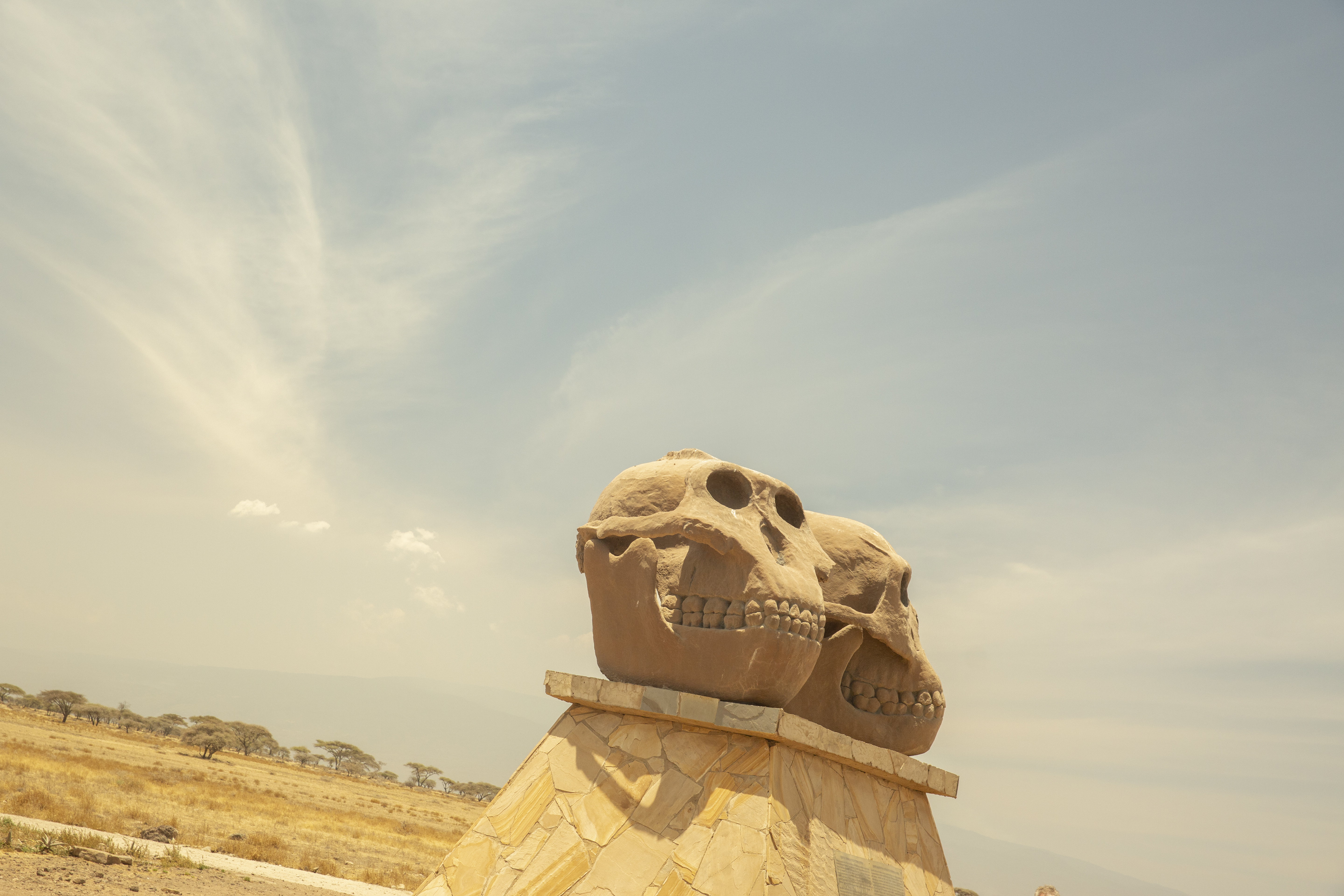 a stone skull statues on a pedestal