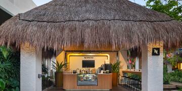 a bar with a straw roof