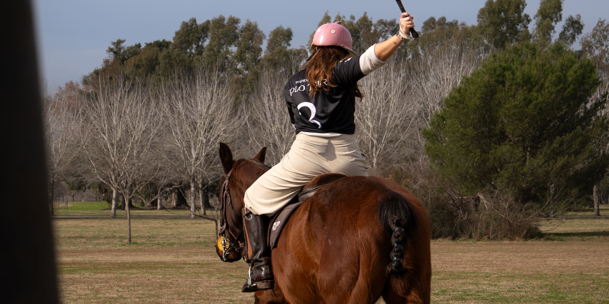 a woman on a horse with a stick