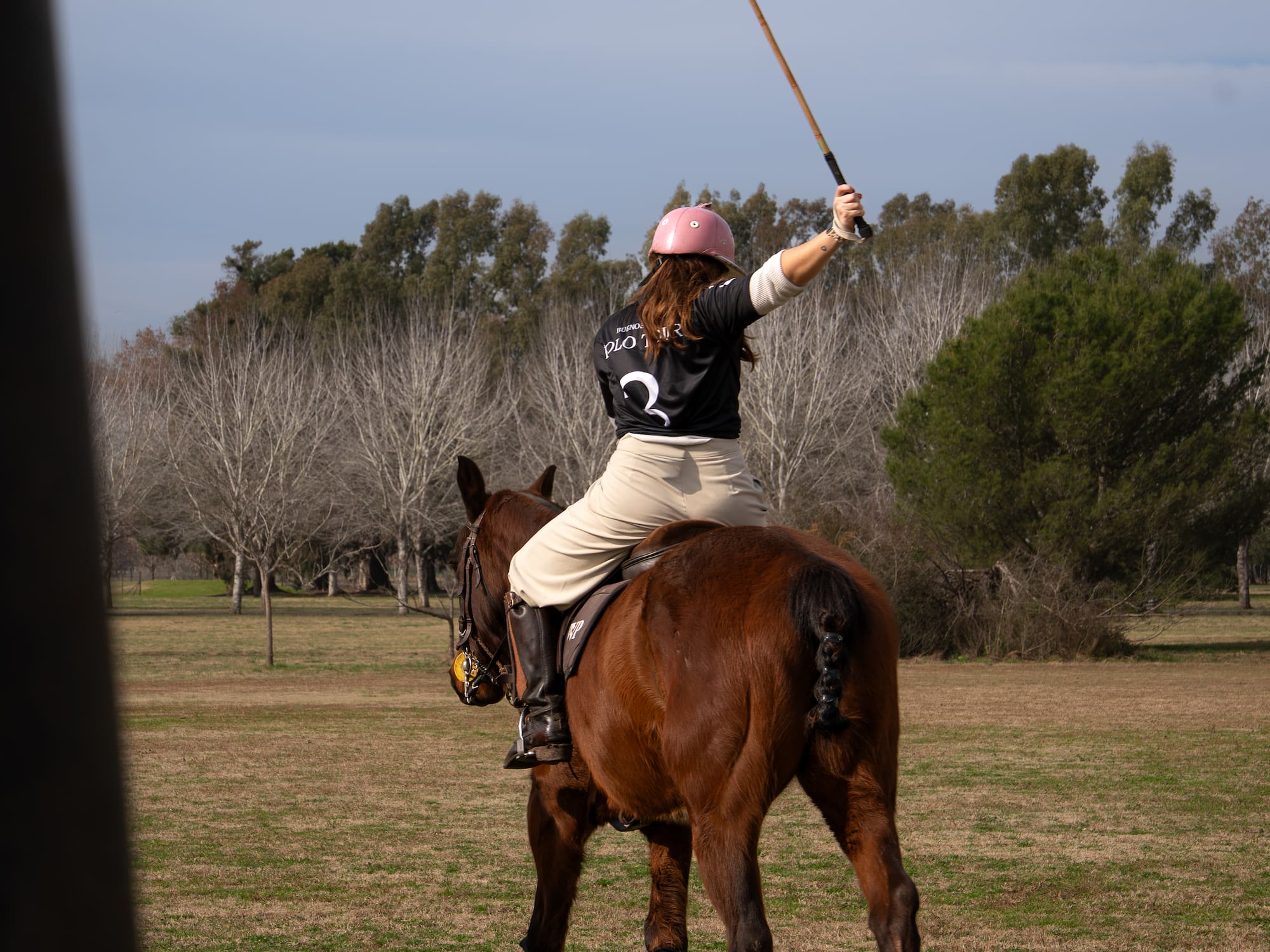 a woman on a horse with a stick