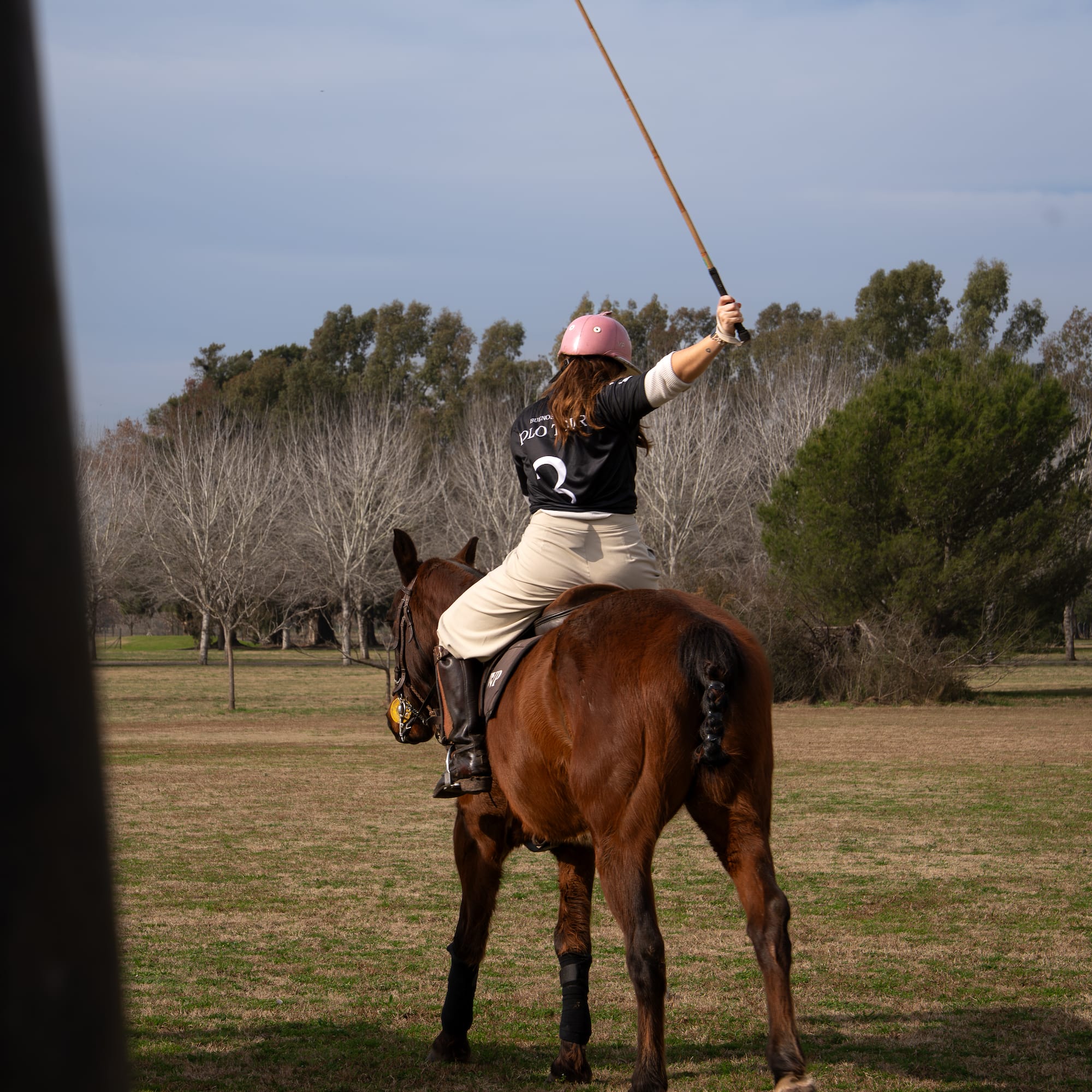 a woman on a horse with a stick