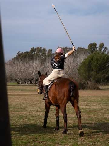 a woman on a horse with a stick