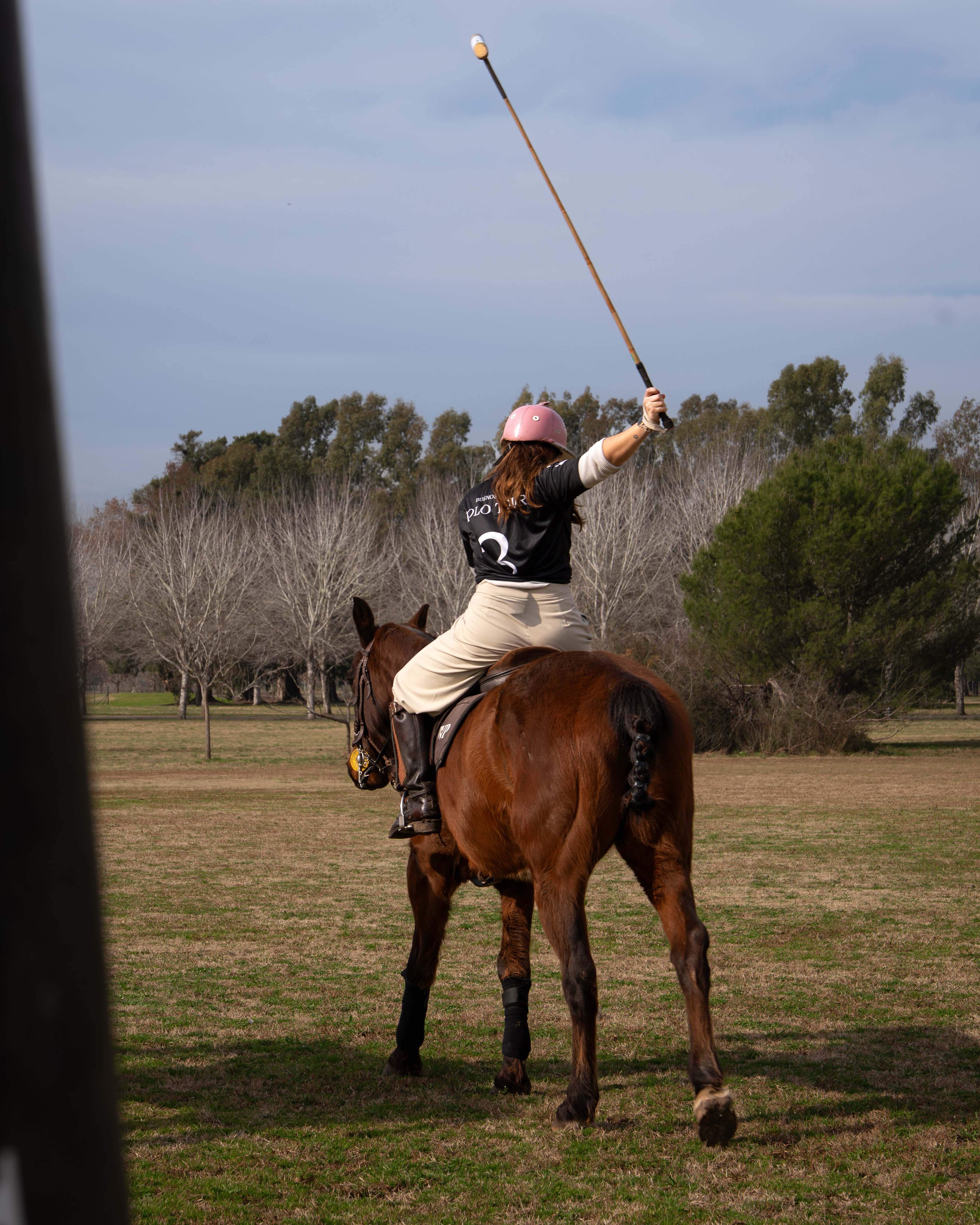 a woman on a horse with a stick