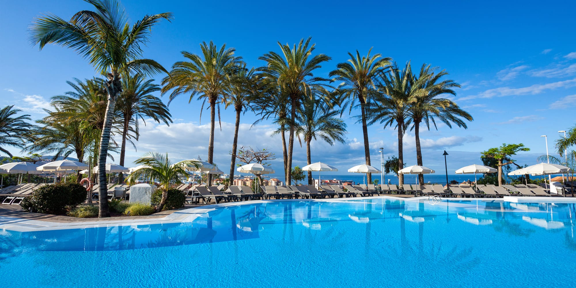 a pool with palm trees and umbrellas