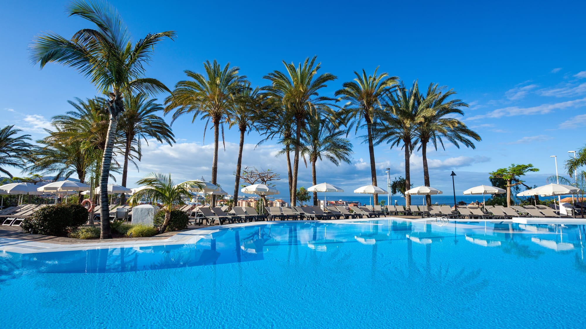 a pool with palm trees and umbrellas