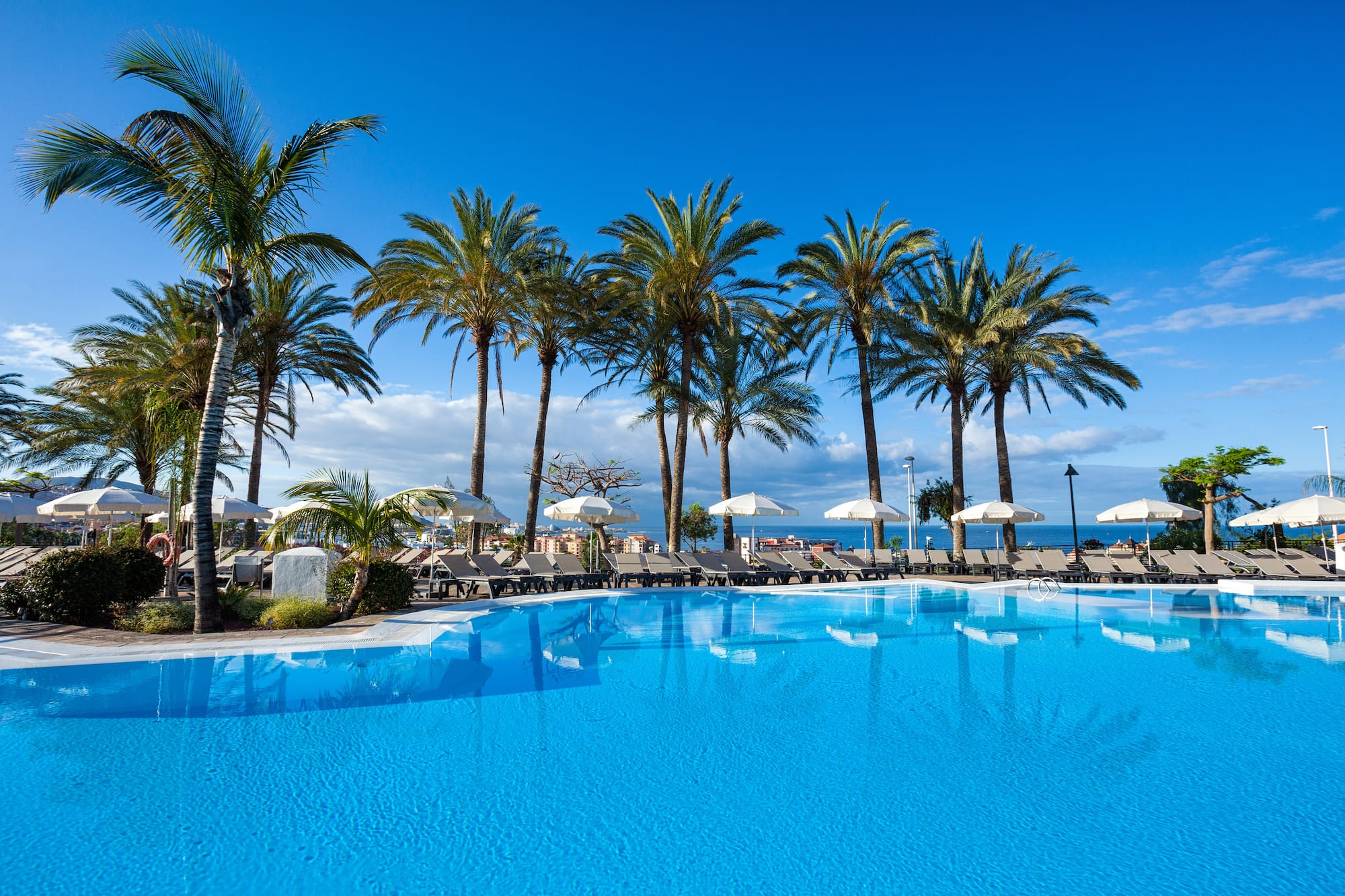 a pool with palm trees and umbrellas