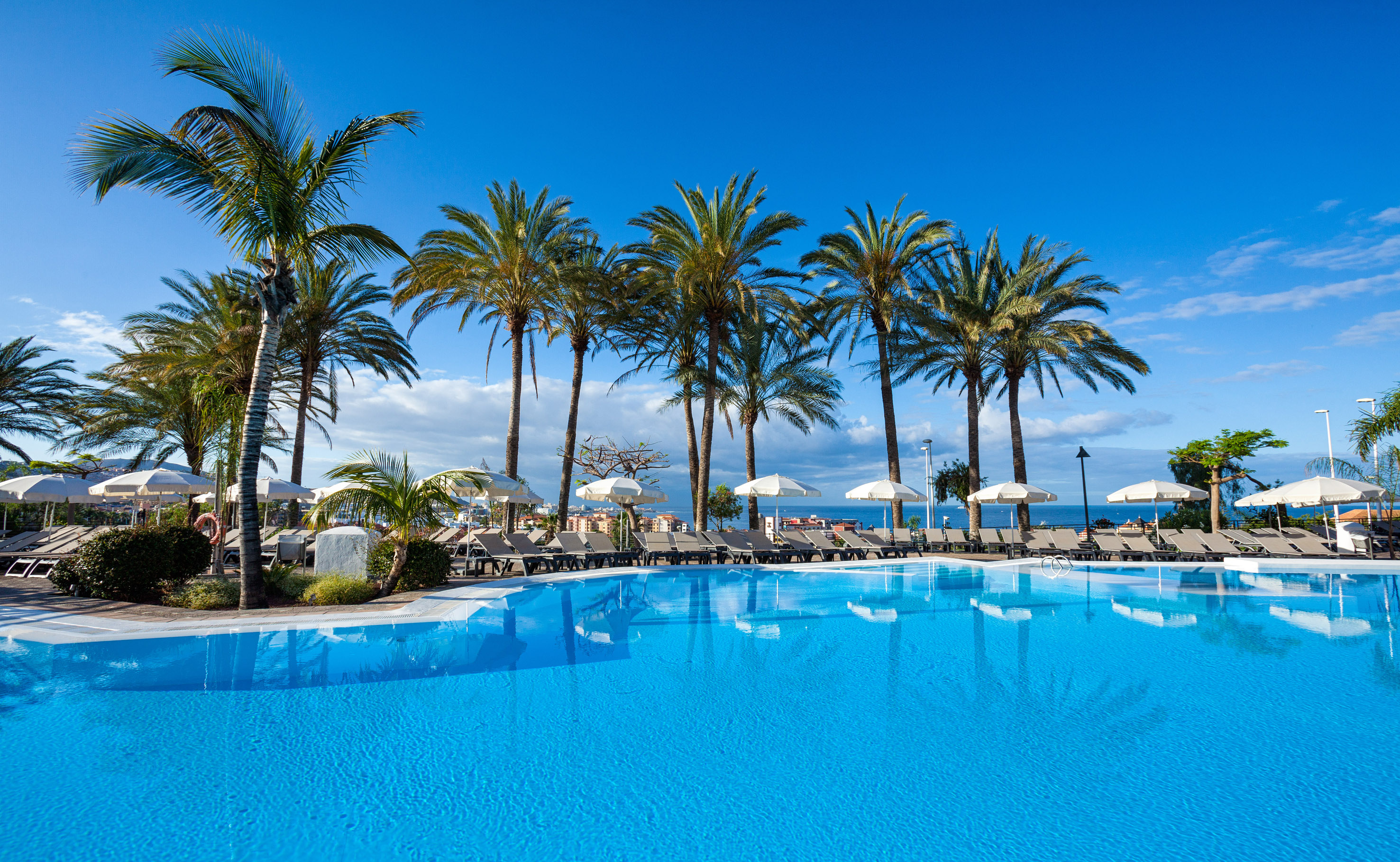 Resort swimming pool with palm trees, sun loungers, and ocean view.