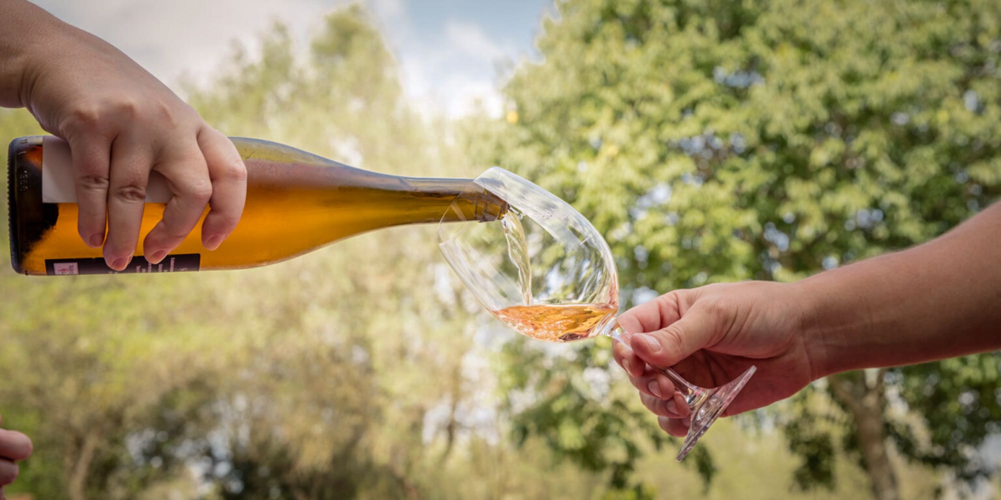 Hand pouring rosé wine from bottle into a glass outdoors with trees.