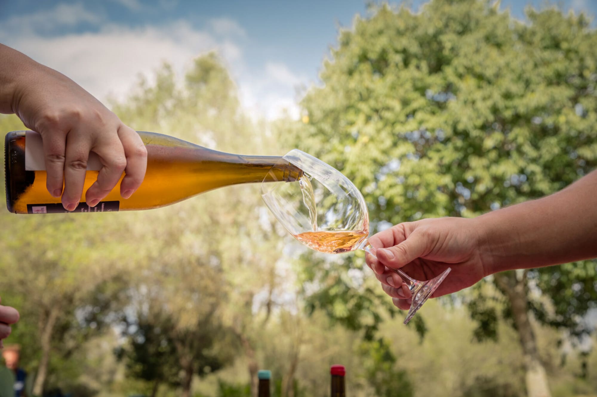 Person pouring rosé wine into a glass during an outdoor wine tasting.