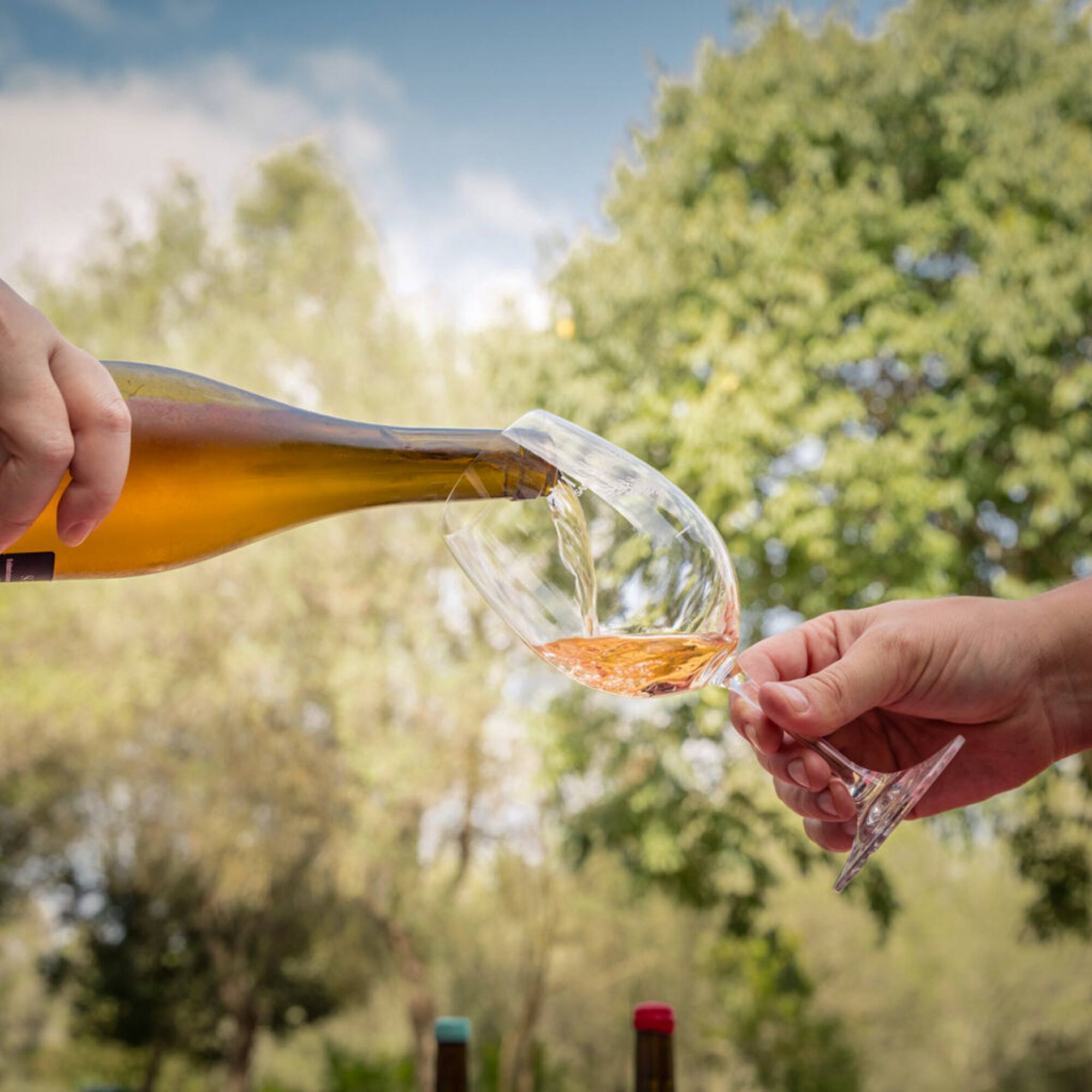 a person pouring a glass of wine into a glass