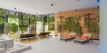 a room with chairs and plants